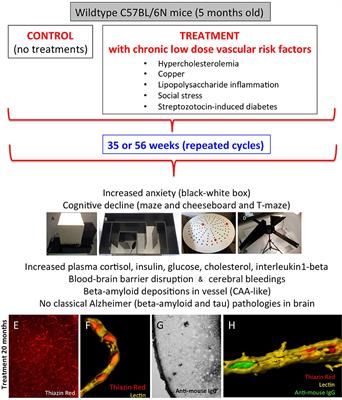 Platelet and Plasma Phosphatidylcholines as Biomarkers to Diagnose Cerebral Amyloid Angiopathy